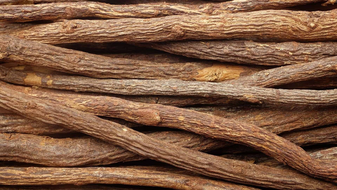 Licorice: The Sweet Herb for Healing and Vitality